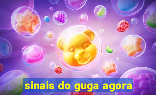 sinais do guga agora